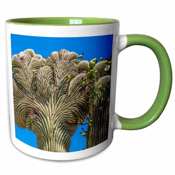 3drose, Crested Saguaro in Bloom, Desert Botanical Garden, Phoenix, Arizona., 11oz Two-tone Green Mug