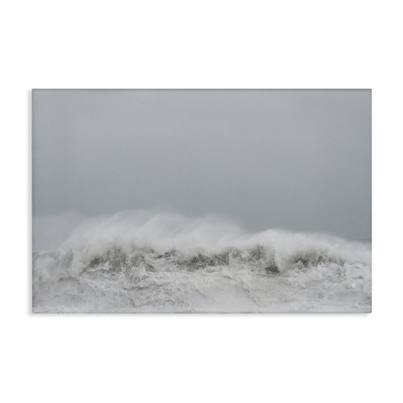 Stupell Industries Cresting Wave Abstraction Canvas Wall Art, design by Jade Sharp Photo, 16 x 24