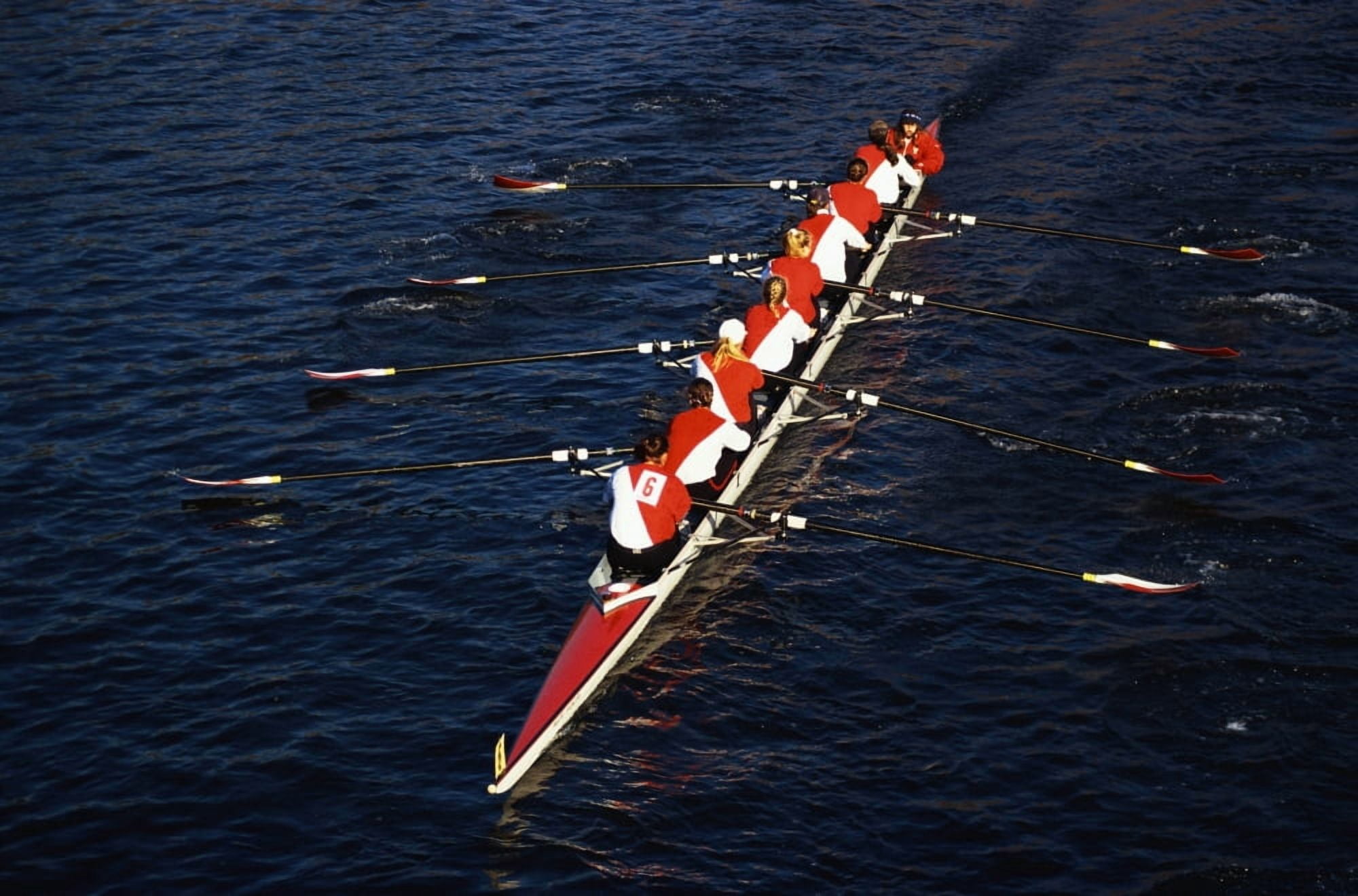 Crew Boat at Head of Charles Regatta Canvas Art - Panoramic Images (36 x 12)