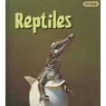 thumbnail image 1 of Pre-Owned Reptiles/ Reptiles (Crías/ Animal Babies) Hardcover, 1 of 1
