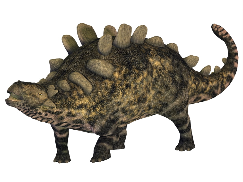 Crichtonsaurus armored dinosaur Canvas Art - Corey FordStocktrek Images (17 x 13)