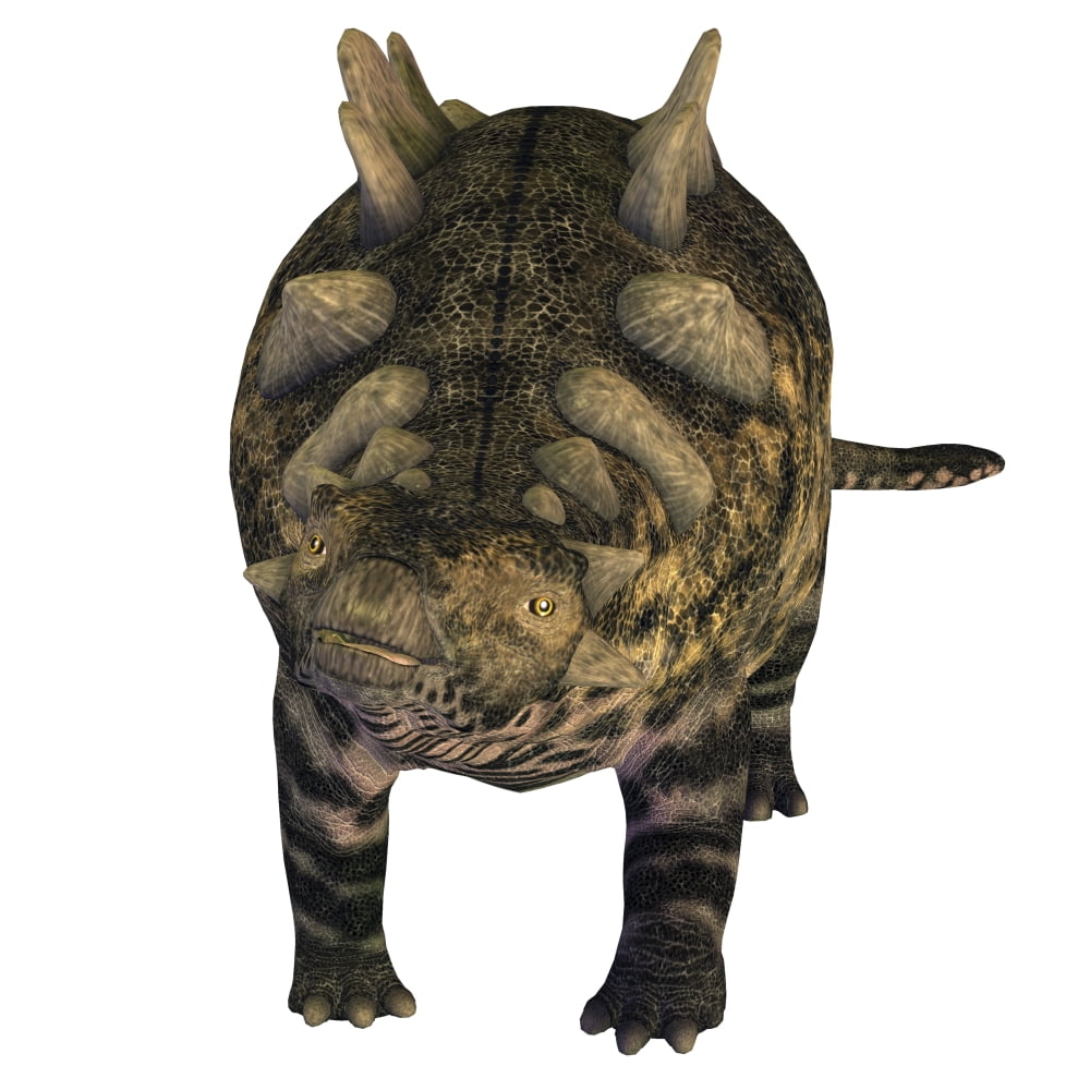 Crichtonsaurus armored dinosaur Canvas Art - Corey FordStocktrek Images (28 x 28)
