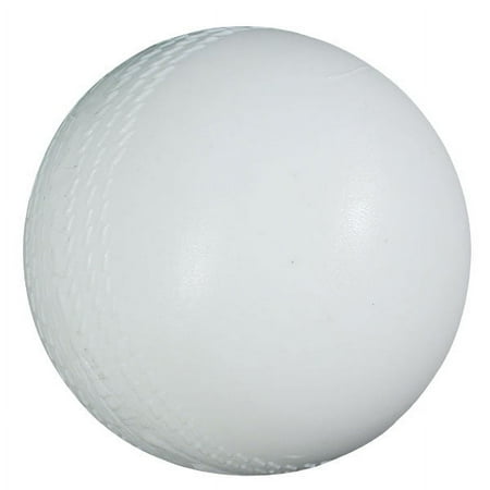 Cricket Ball with Rattles