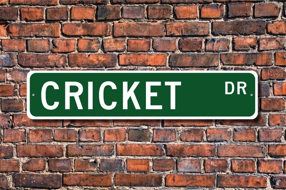 Cricket Cricket sign Cricket fan Cricket gift Cricket player Cricket