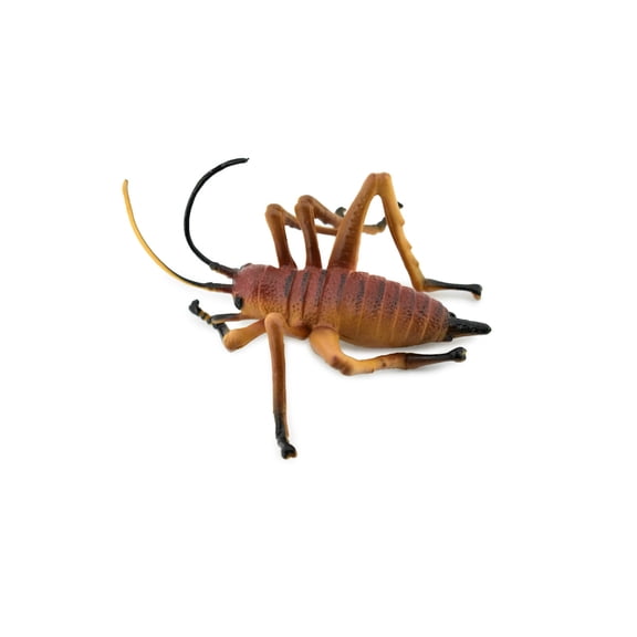 Cricket, Hand Painted, Rubber Insect, Realistic Toy Figure, Model, Replica, Kids, Educational, Gift, 3" CH217 BB118