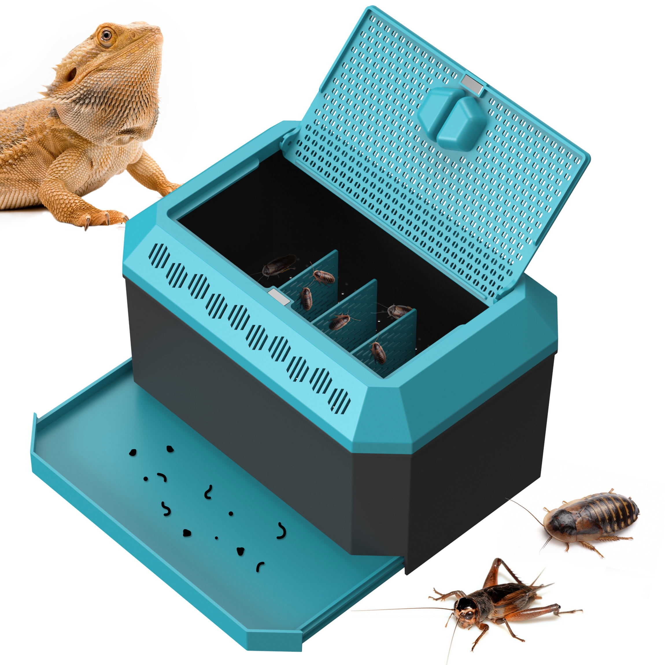 Cricket Keeper Live Insect Container with Pull-Out Cleaning Tray for ...