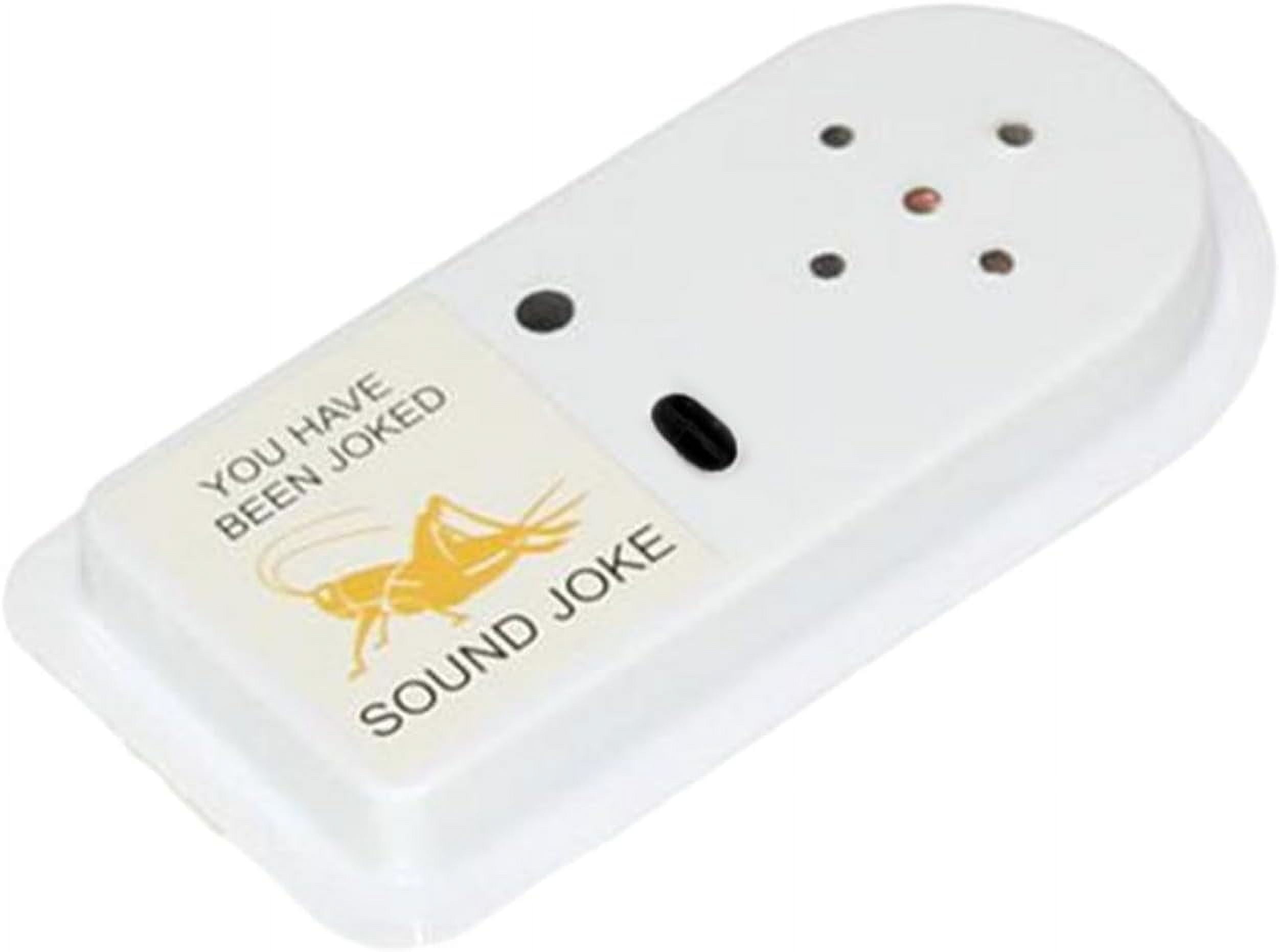 Cricket Sound Prank, Cricket Noise Maker Prank, Beeping Prank