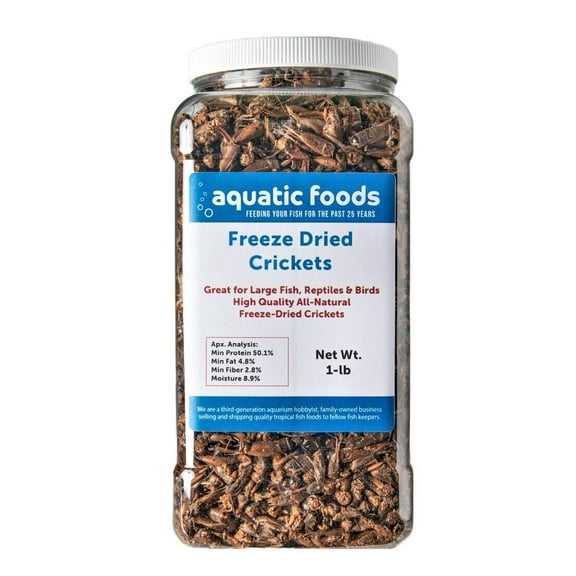 Crickets - Freeze Dried Crickets for Tropical Fish, Reptiles, Turtles, Tortoises Frogs, Hamsters, Birds, Rodents…1-lb Lg Jar