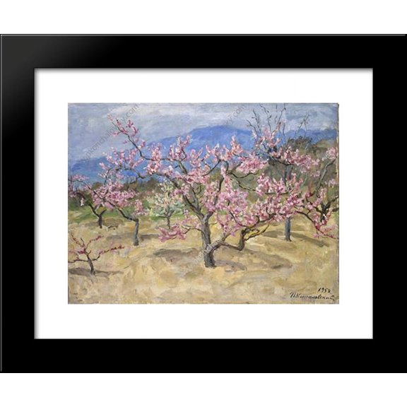 Crimea. Blooming peach tree. 20x24 Framed Art Print by Pyotr Konchalovsky