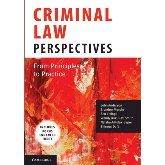 Criminal Law Perspectives: From Principles to Practice, (Paperback)