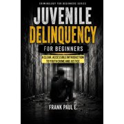 Criminology, Criminal Profiling, Serial Juvenile Delinquency for Beginners A Clear, Accessible Introduction to Youth Crime and Justice, Book 26, Paperback