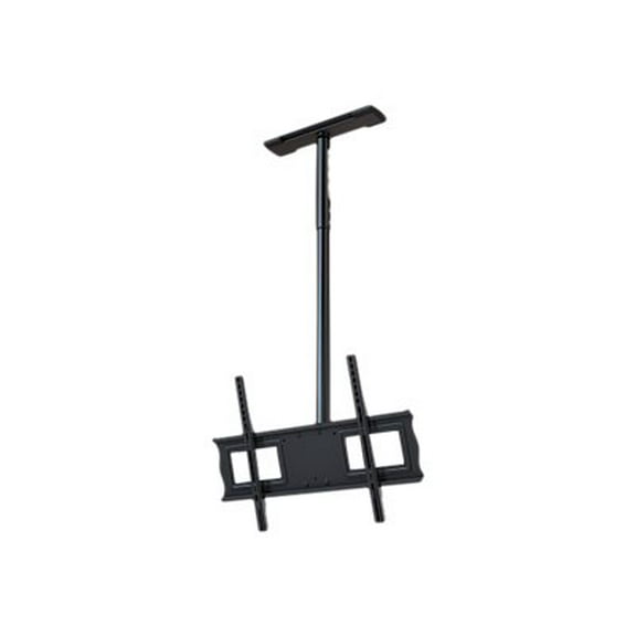 SNOGLBE-80MM CAT/BRDHS.EACH