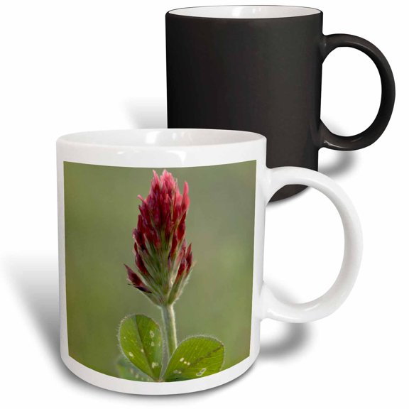 3drose, Crimson or Italian Flora Clover, Mississippi - Us25 Rsp0000 - Rob Sheppard, 11oz Magic Transforming Mug