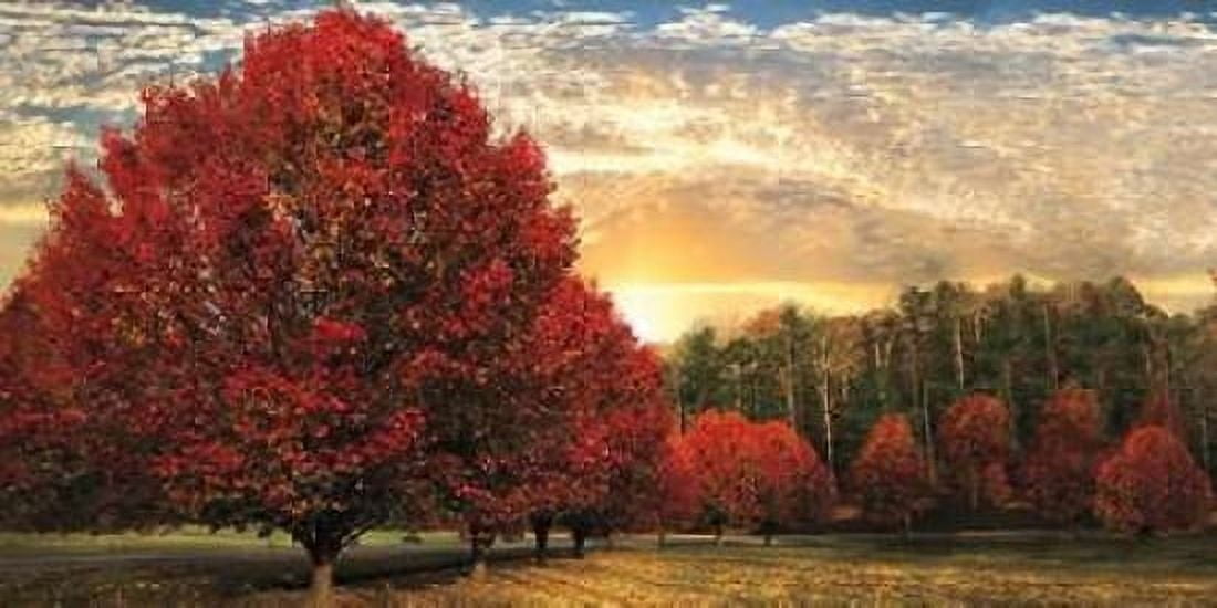Crimson Trees Canvas Art - Celebrate Life Gallery (24 x 48)