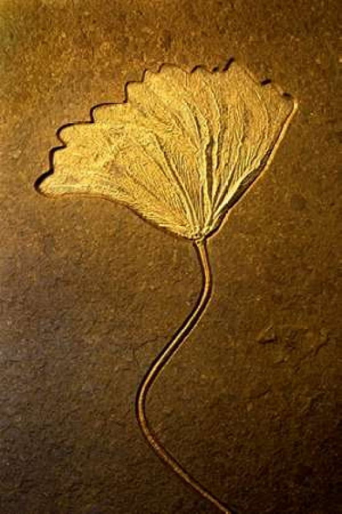 Crinoids II Canvas Art - Douglas Taylor (24 x 36)