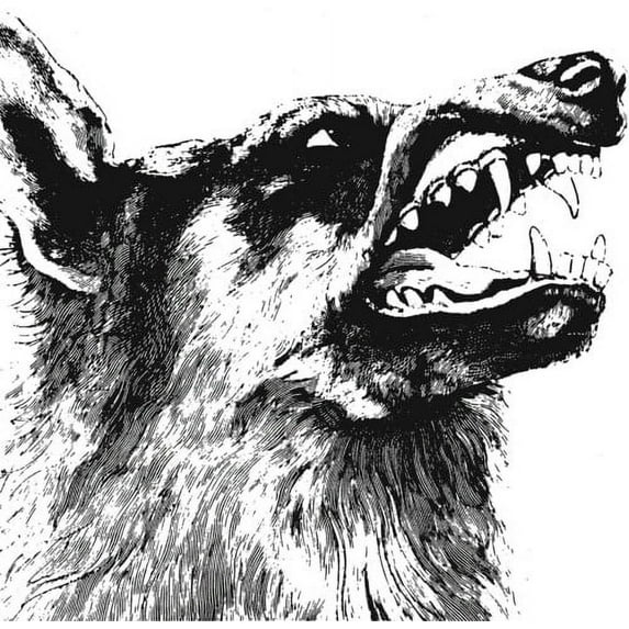 Crippled Black Phoenix - Vigilante - Music & Performance - CD