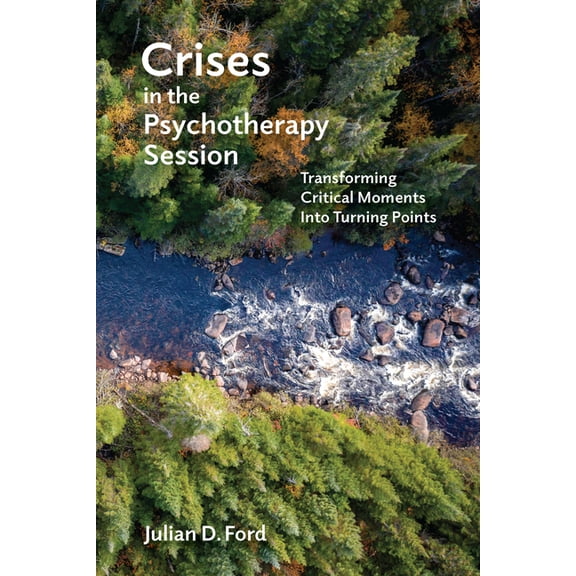 Crises in the Psychotherapy Session : Transforming Critical Moments Into Turning Points (Paperback)