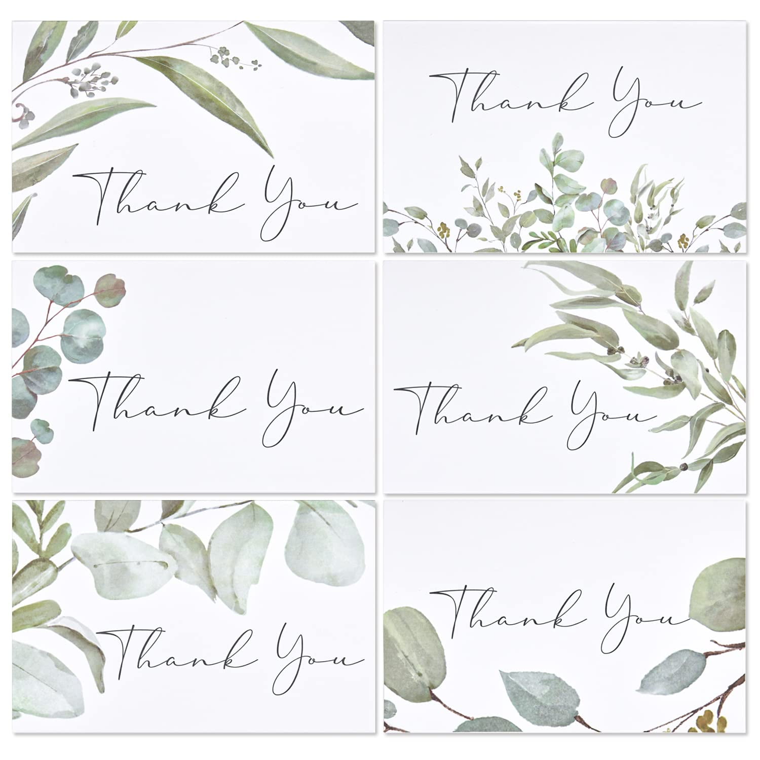 Crisky 50 Pack Greenery Thank You Cards – 6 Watercolor Designs With Envelopes & Stickers, 4x6 Folded