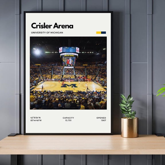 Crisler Arena Basketball Print - University of Michigan, Unframed Poster Size 16x24