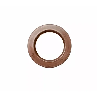 EAI 20x52x7mm FKM Oil Seal With Stainless Steel Spring And Double Lip - Rotary Shaft Seal