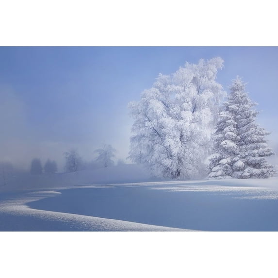 Crispy Morning Poster Print - Veroniques