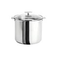 thumbnail image 1 of Cristel Multiply Stainless Steel Stockpot with Glass Lid and Removable Handles, 7.6 Quart, 1 of 3