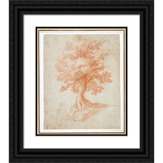 Cristofano Allori 12x14 Black Ornate Wood Framed Double Matted Museum Art Print Titled: Study of a Tree (circa 1610-1620)