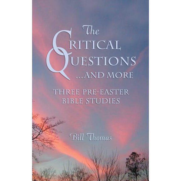 The Critical Questions...and More (Paperback)