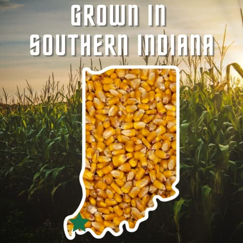 Critter Corn - Loose Shelled Corn for Wildlife 40 lbs - Grown in Southern Indiana - Dried Feed Corn for Squirrels, Deer, Turkeys, Ducks, Woodchucks, Birds, and More!