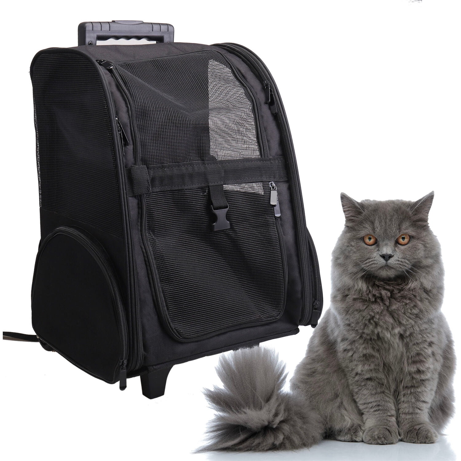 https://i5.walmartimages.com/seo/Critter-Sitters-Rolling-4-Wheel-Pet-Backpack-Suitcase-Small-Dogs-Cats-Scratch-Resistant-Breathable-Mesh-Window-Airline-Carry-On-Approved-Safety-Leash_4edcfb3d-dcd9-4759-9f0a-022f7b44a3d1.992616fd5dd669168aecac7b20dd0a85.jpeg