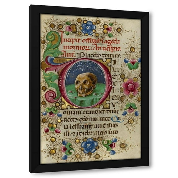 Taddeo Crivetti 11x14 Black Modern Wood Framed Wall Art Titled - Initial D: A Skull in a Rocky Field