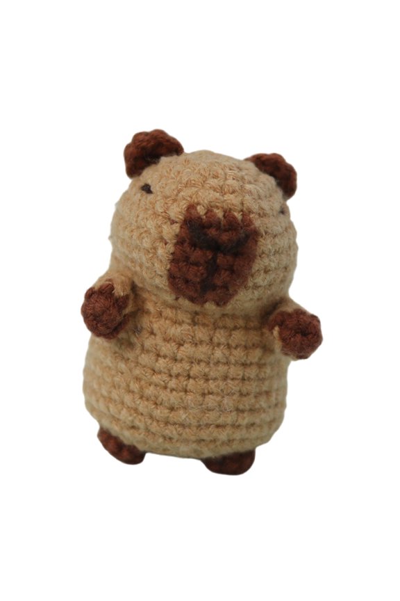 Crochet Keychain Set for Beginner with Video Tutorial Instruction Craft Crochet Sret with Knitting Accessories