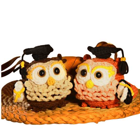 Crochet Kit for Beginners: 2 PCS Owl Starter Crochet Kits with Step-by-Step Video Tutorials and Yarns, Hook, Accessories, Generation DIY Craft Gift for Beginners