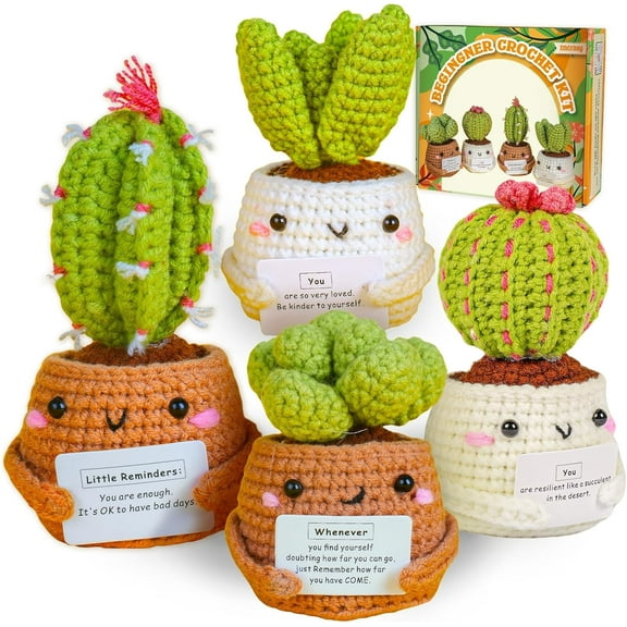 Crochet Kit | Crochet Kit for Beginners | Emotional Support Succulent Crochet & Knitting Kit with Step by Step Video Lessons | 4 PC Succulent Crochet Kit with Crochet Accessories(40% + Yarn)