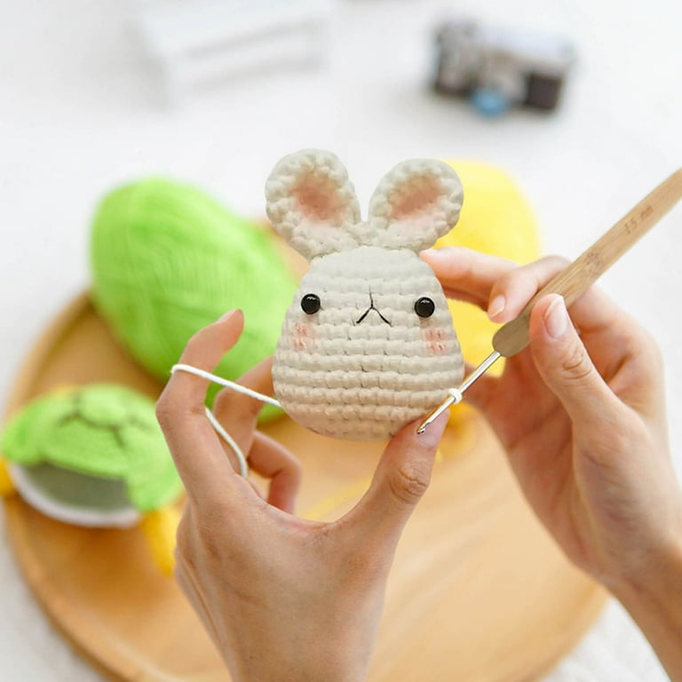 Crochet Kit For Beginners - DIY And Complete Crochet Kit For 