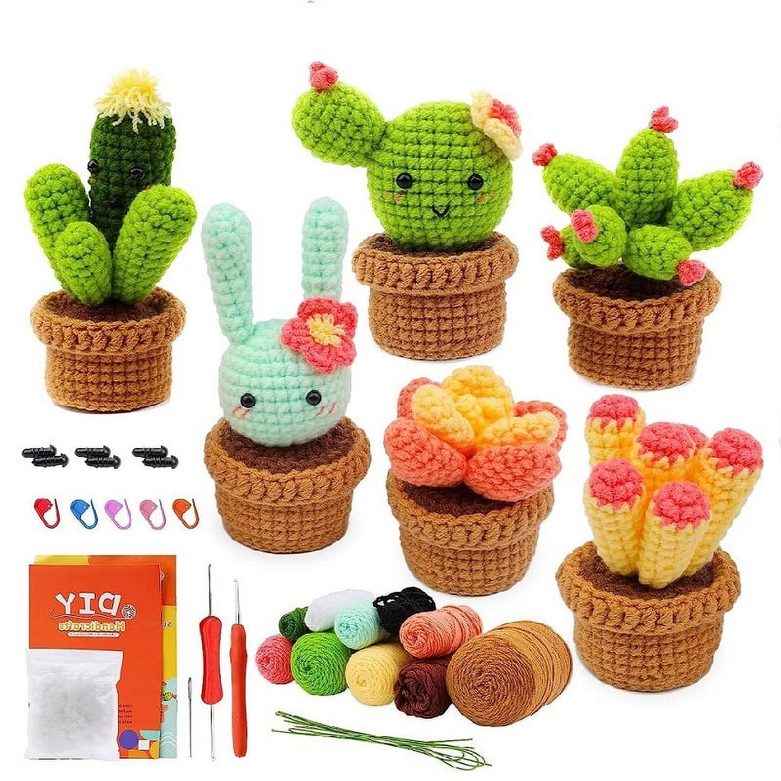 Crochet Kit for Beginners, 6 Pcs Potted Plants Crochet Starter Kits for