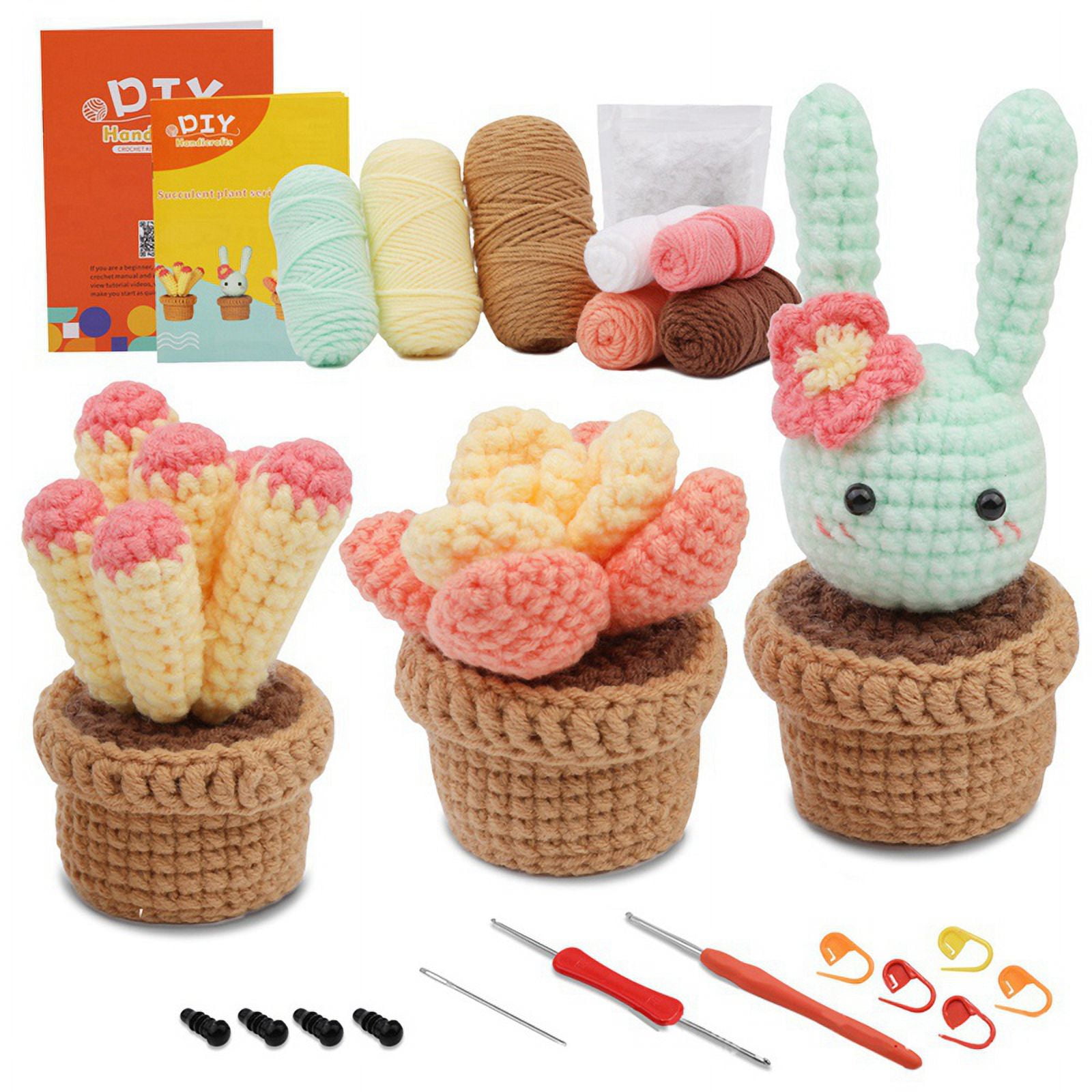 Crochet Kit for Beginners, Beginner Crochet Kit for Adults, with Crochet  Hooks, Yarn, Markers, Instructions 