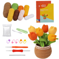 Crochet Kit for Beginners, Tulips Crochet Kit for Beginners Complete