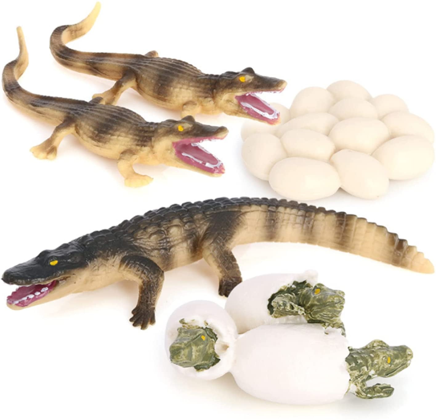 Crocodile Growth Cycle Toys, Animal Growth Cycle Biological Model Toy