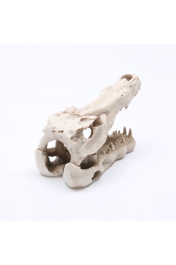 Crocodile Skull Animal Resin Ornament, Realistic Crocodile Skull Head Statue Decorative Skeleton Head Figurines Animal Head Bone Model,Safe for Freshwater Aquaruims Halloween Bar Decoration-White