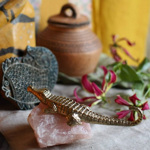 Crocodile Wall Hook - Chewy Crocodile Wall Hook