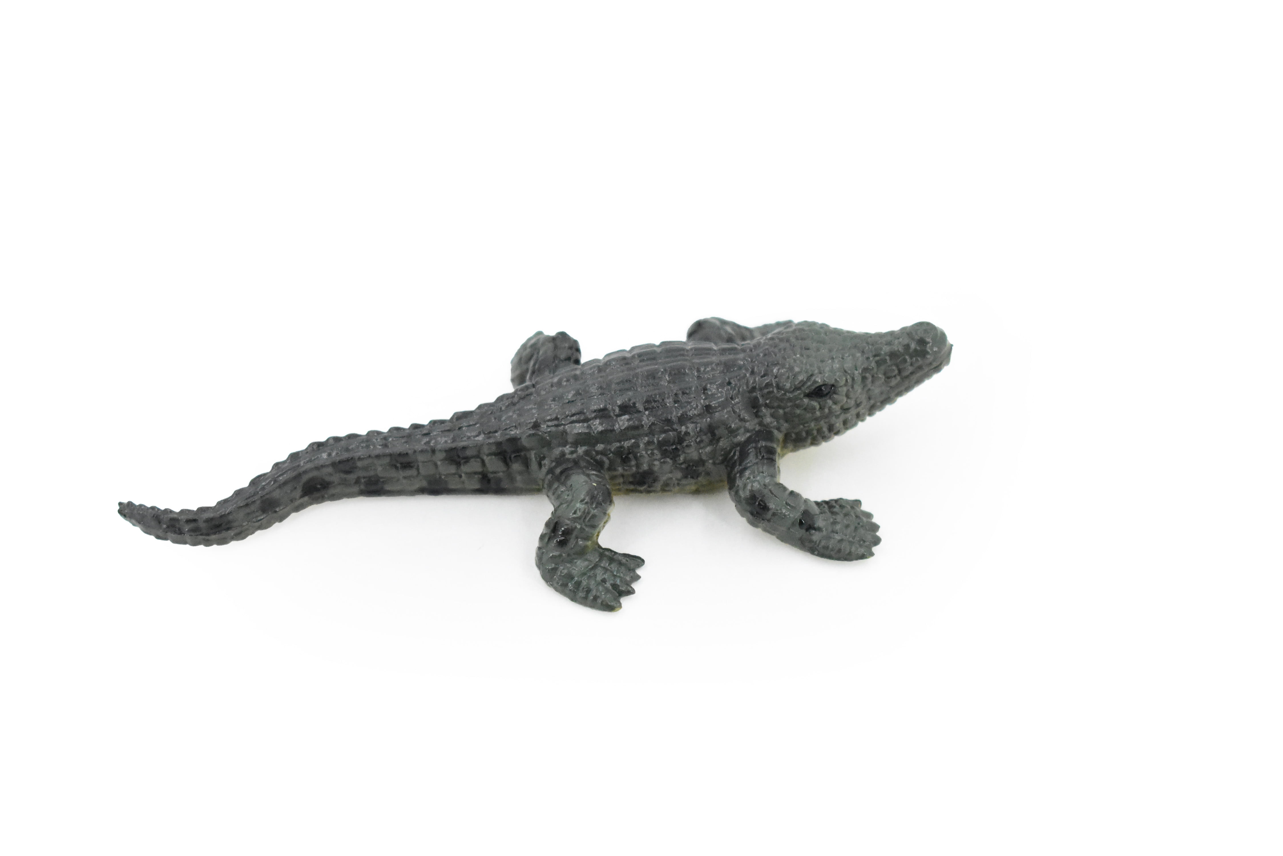 WILDSWANS CROCODILE / GENERAL(SD) BLACK（CROCODILE