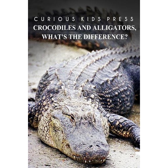 Crocodiles And Alligators, What's the difference - Curious Kids Press: Kids book about animals and wildlife, Children's books 4-6 (Paperback)