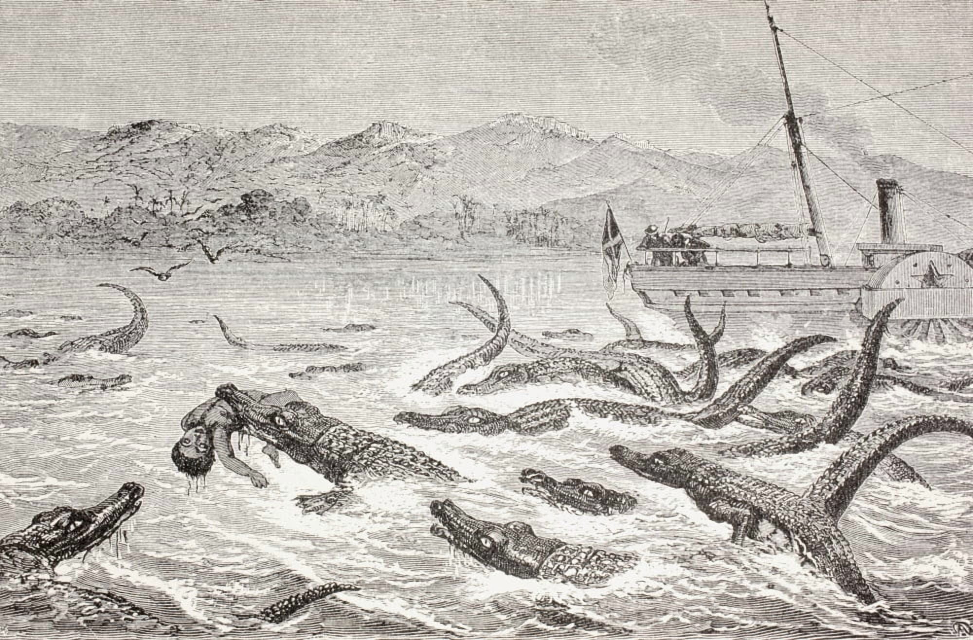 Crocodiles Take A Man In The Nile River In The Late 19Th Century From Afrika Dets Opdagelse Erobring Og Kolonisation Published In Copenhagen 1901 Canvas Art - Ken Welsh Design Pics (36 x 22)