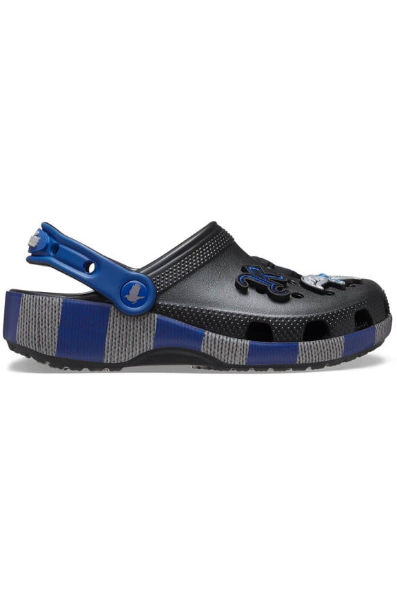 Toddler Harry Potter Ravenclaw Classic Clogs, Multi, C6