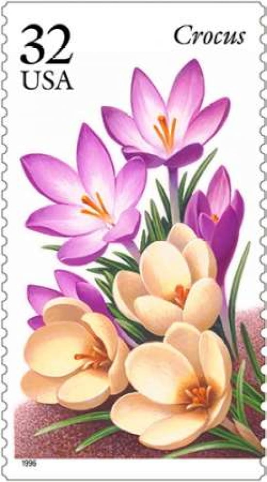 Crocus Canvas Art - US POSTAL SERVICE (24 x 36)