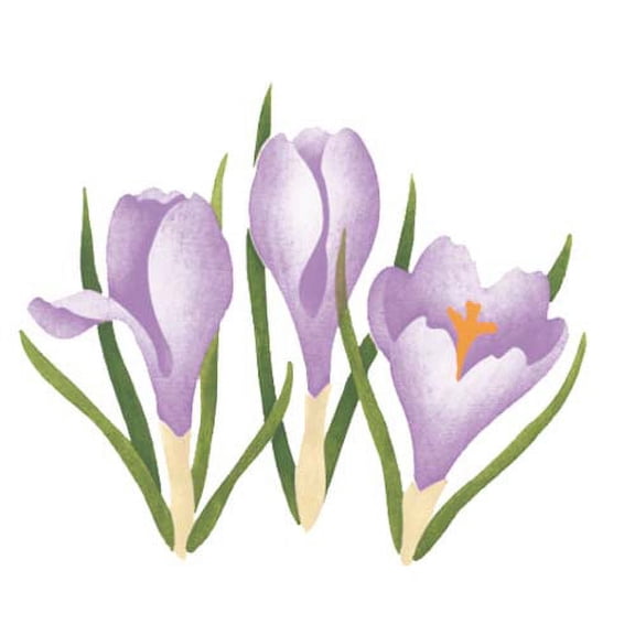 Crocus Wall Stencil SKU #505R by Designer Stencils