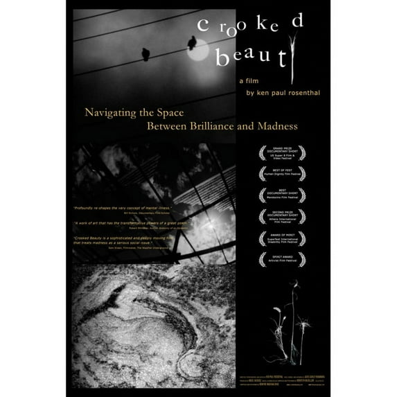 Crooked Beauty : Navigating the Space Between Brilliance and Madness