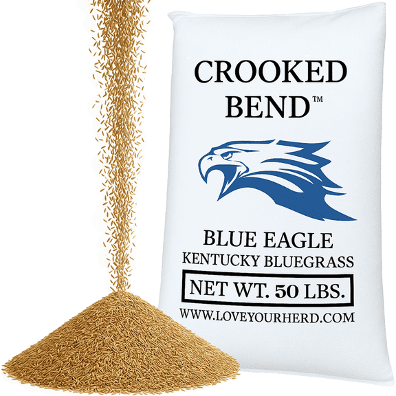 Crooked Bend Blue Eagle Kentucky Bluegrass Seed, 50LB Bulk Bag, Uncoated & No Fill, Grow Beautiful & Best Yards, Thicken Lawns & Turf Fields, Growing Dark Green Organic Grass Carpet, Cold Tolerant