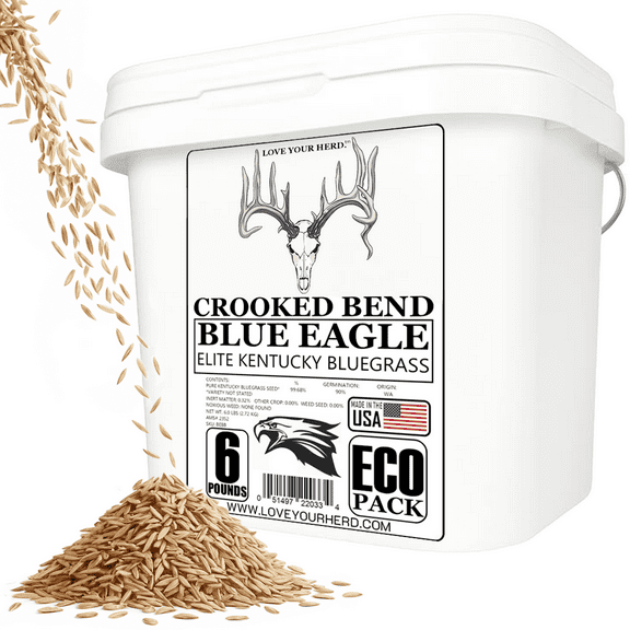 Crooked Bend Blue Eagle Kentucky Bluegrass Seed, 6LB EcoPack, Uncoated & No Fill, Grow Full, Beautiful & Best Yards, Thicken Lawns & Turf Fields Growing Dark Green Organic Grass Carpet, Cold Tolerant